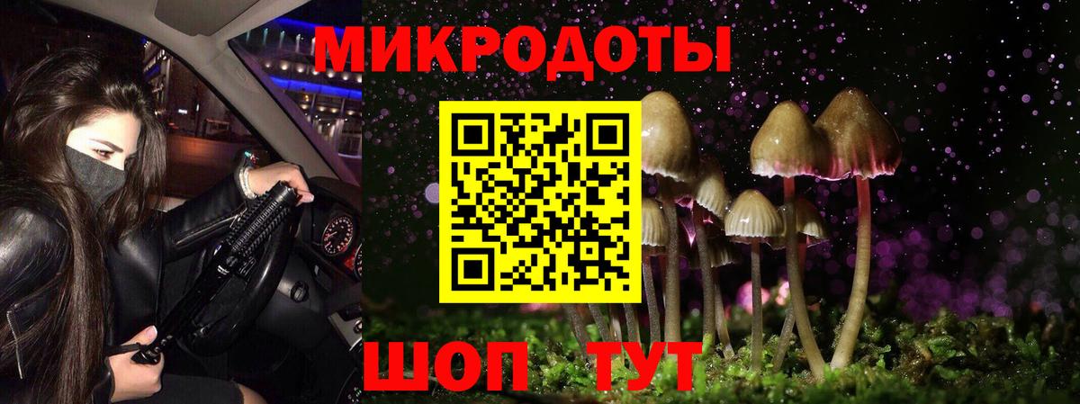 Галлюциногенные грибы Psilocybe Таганрог