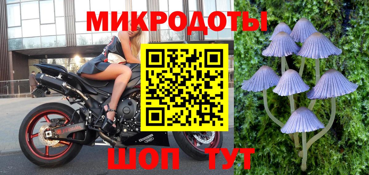 Галлюциногенные грибы GOLDEN TEACHER  Вход с VPN  Таганрог  Галлюциногенные грибы Cubensis 